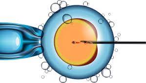 IVF Treatment Cost in Nepal