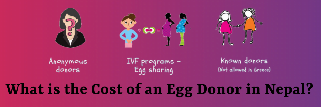 Egg donors cost in Nepal