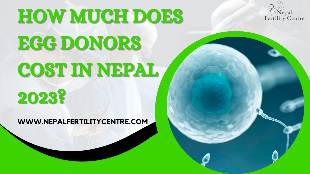 How Much Does Egg Donors Cost in Nepal 2023?