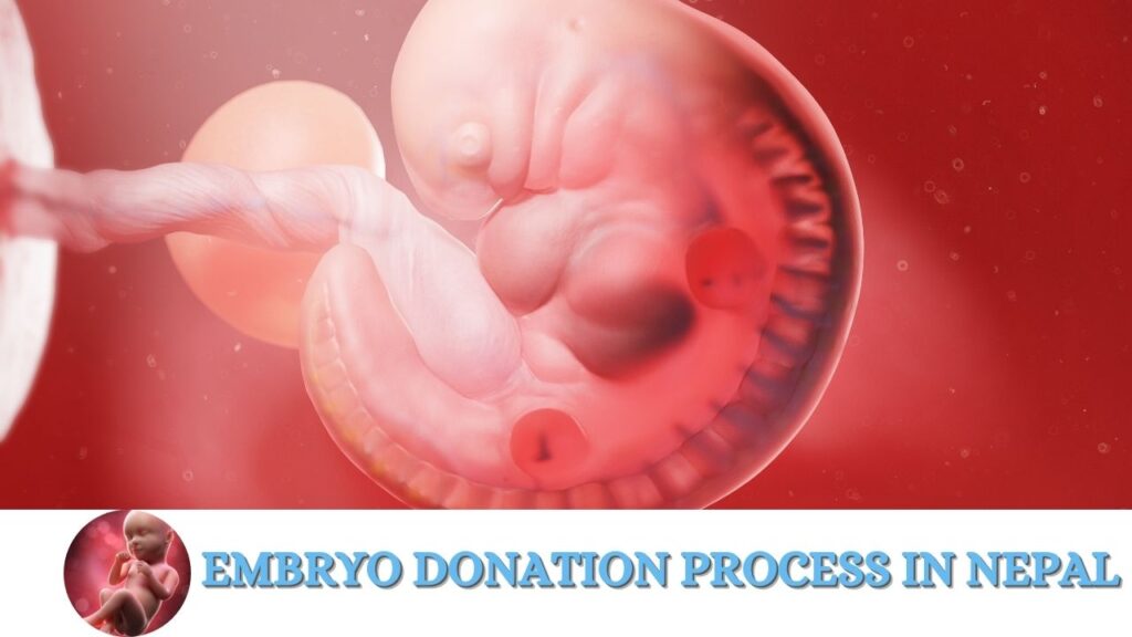 Embryo Donation Process in Nepal